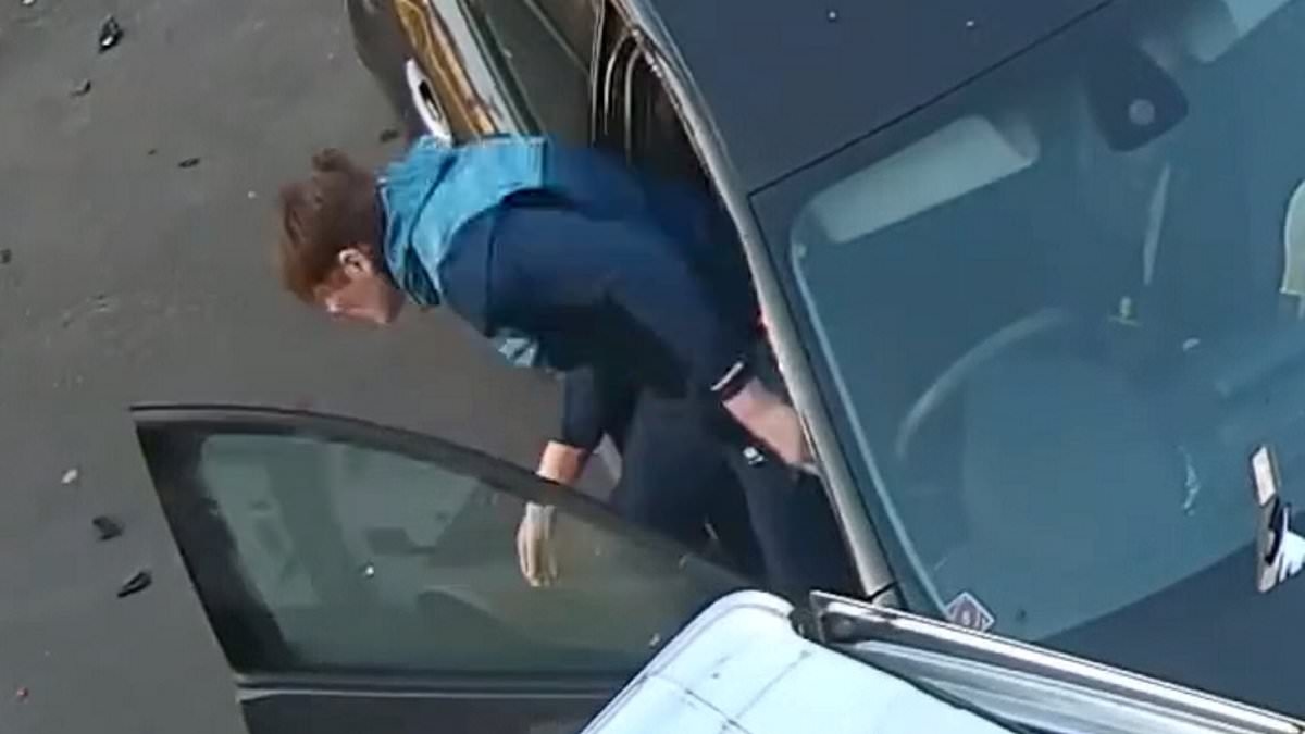 Horrifying moment thug smashes car into peacemaker who was trying to break up fight and leaves him traumatic brain injury - just hours being released from prison
