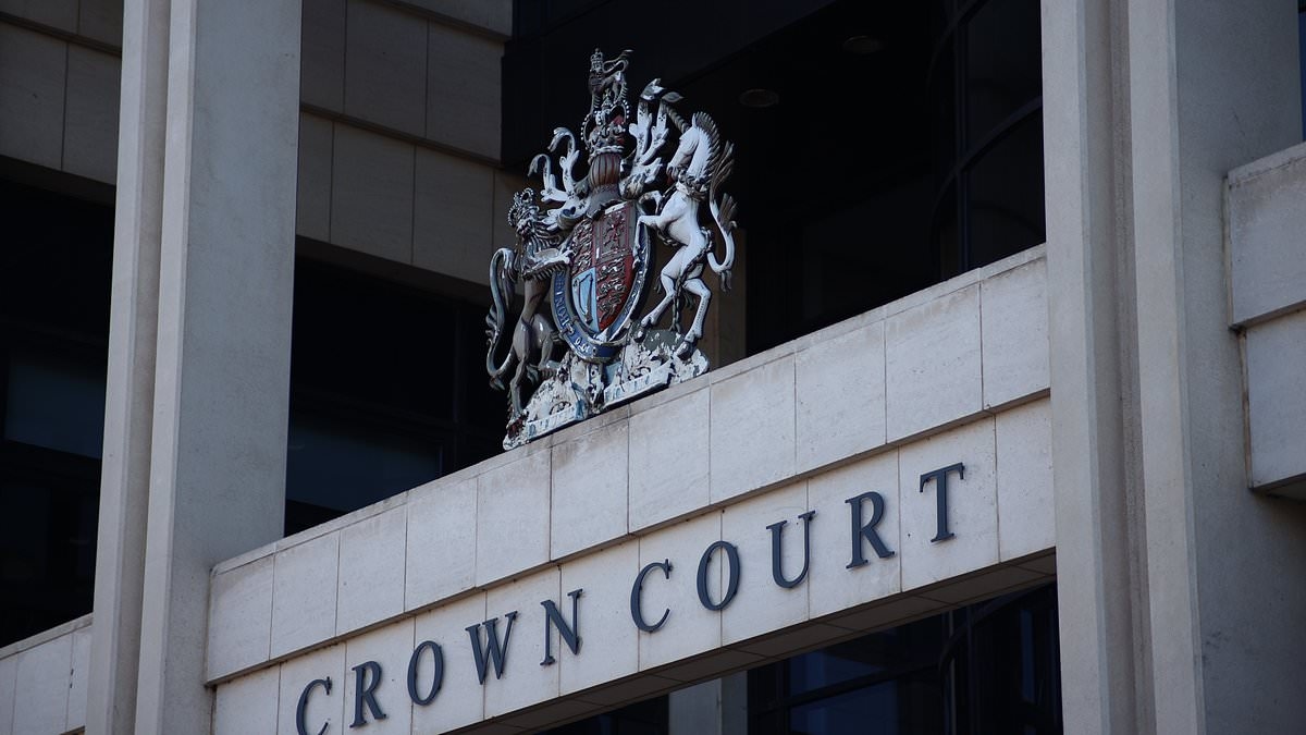 Pakistani asylum seeker appears in court accused of raping eight-year-old girl and subjecting her to multiple sex attacks
