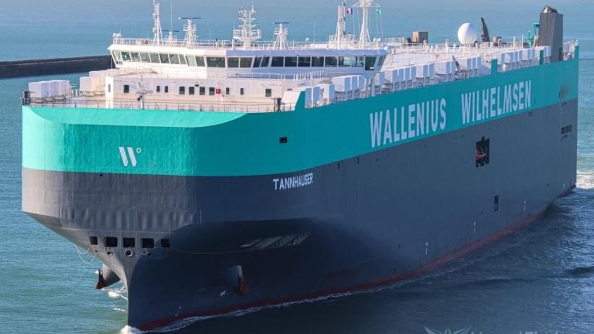 Egyptian failed asylum seeker drowned attempting to jump onto ship travelling to Canada at British port, inquest told