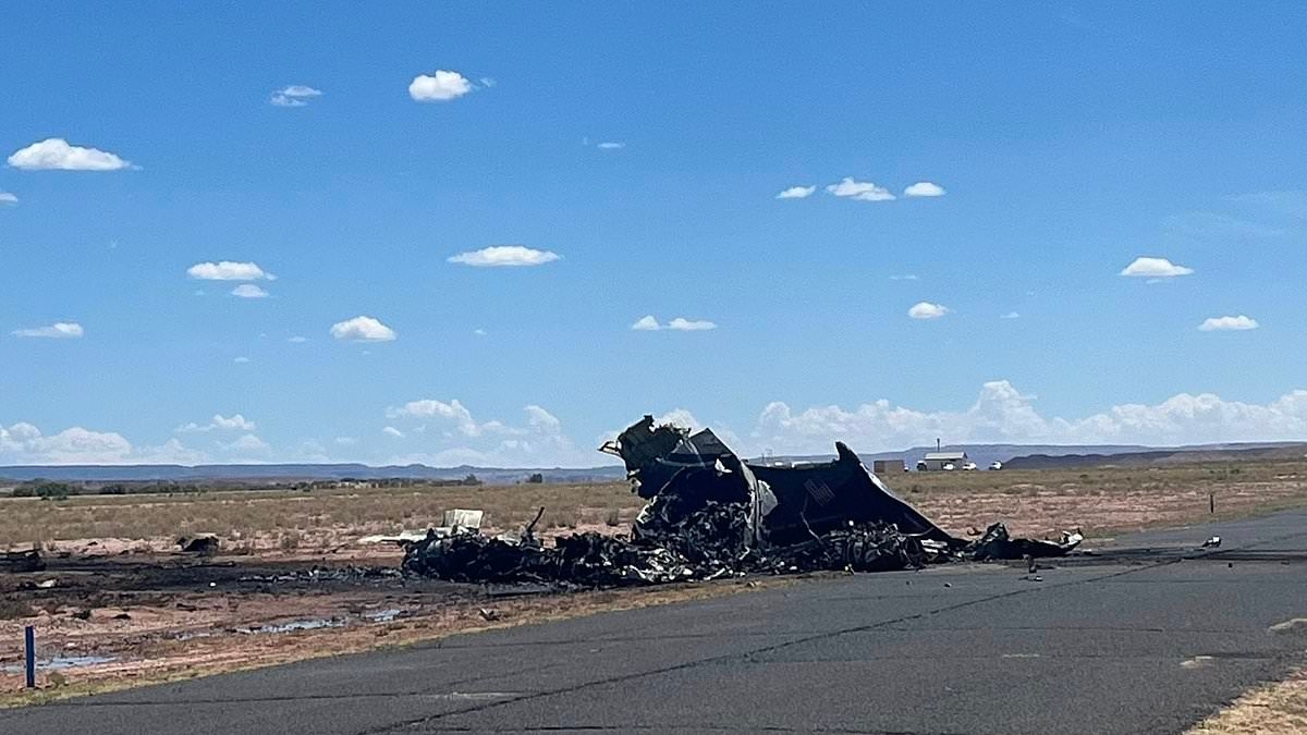 Four dead after medical plane crashes