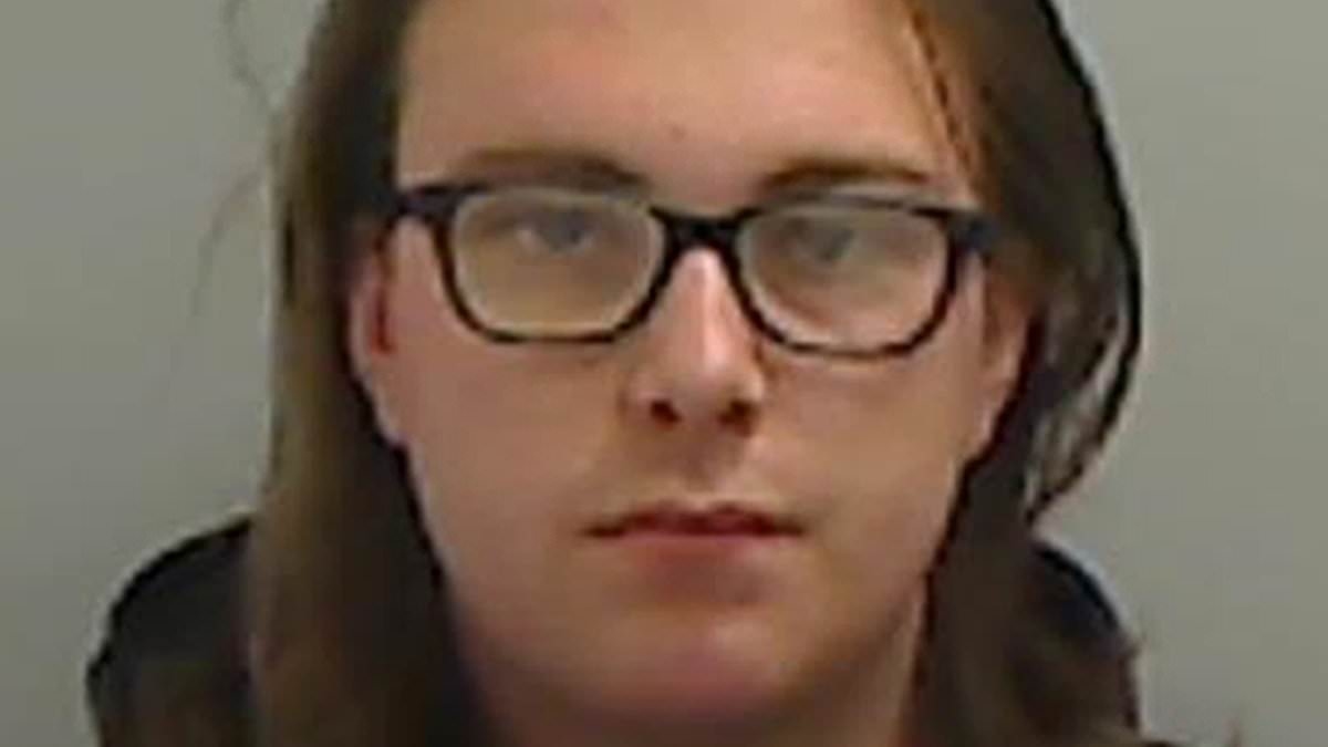 Transgender paedophile, 24, who used female name as an 'alias' online to watch porn and join dating sites is jailed