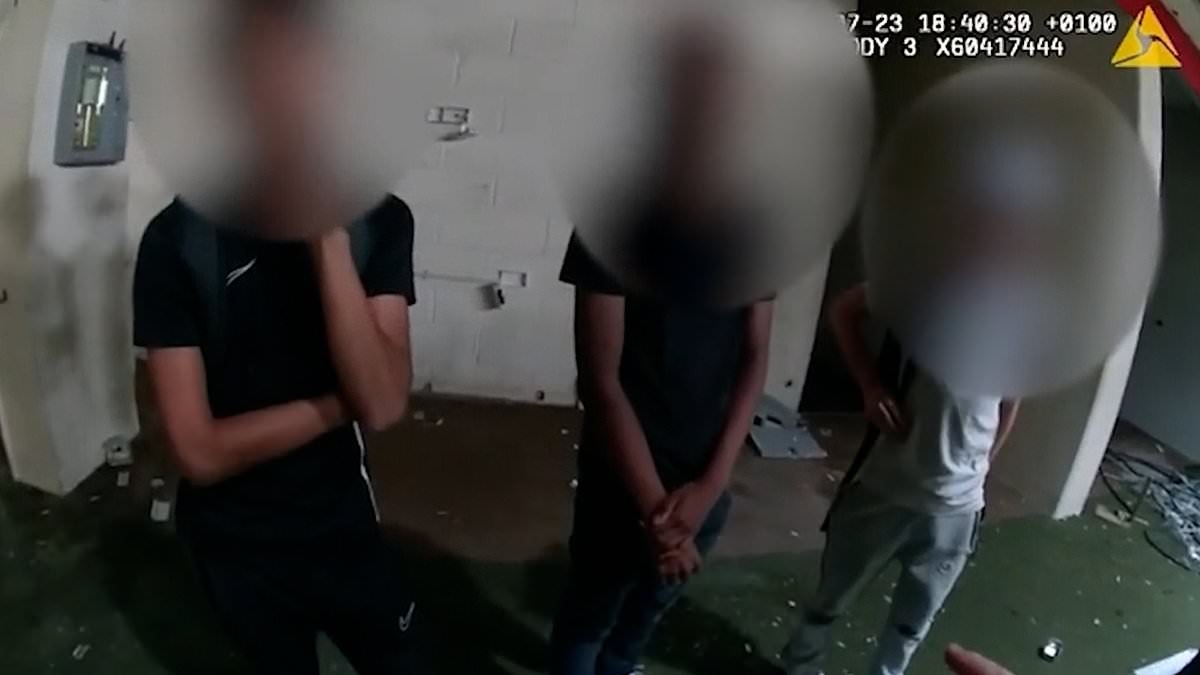 Moment teen yobs are confronted in police 'catapult crackdown' after surge in wildlife attacks