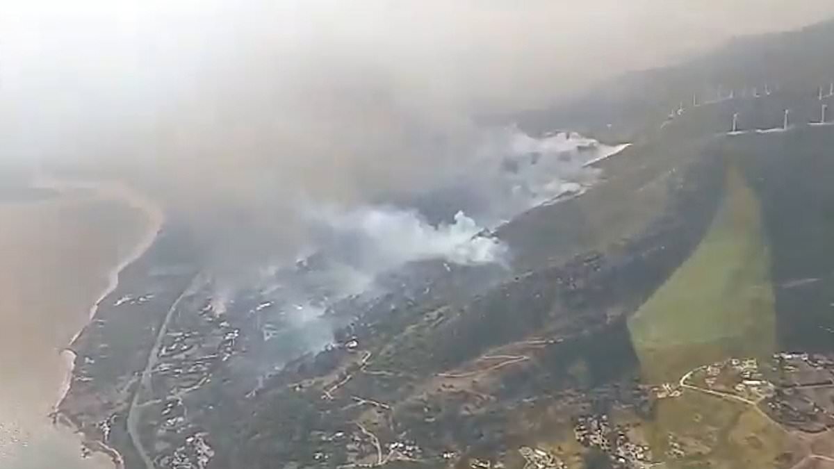 Tourists and Spanish locals forced to evacuate after wildfire near beach resort