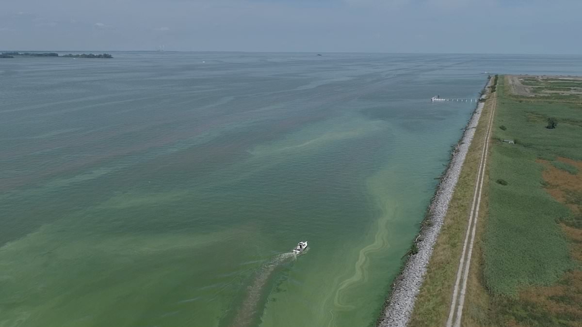 Bacteria 'bloom' explodes in popular Midwest lake as officials warn vacationers to stay away