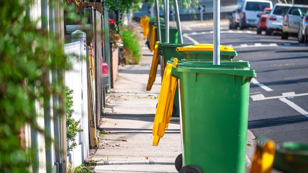 The huge bin change that could be coming for millions of households