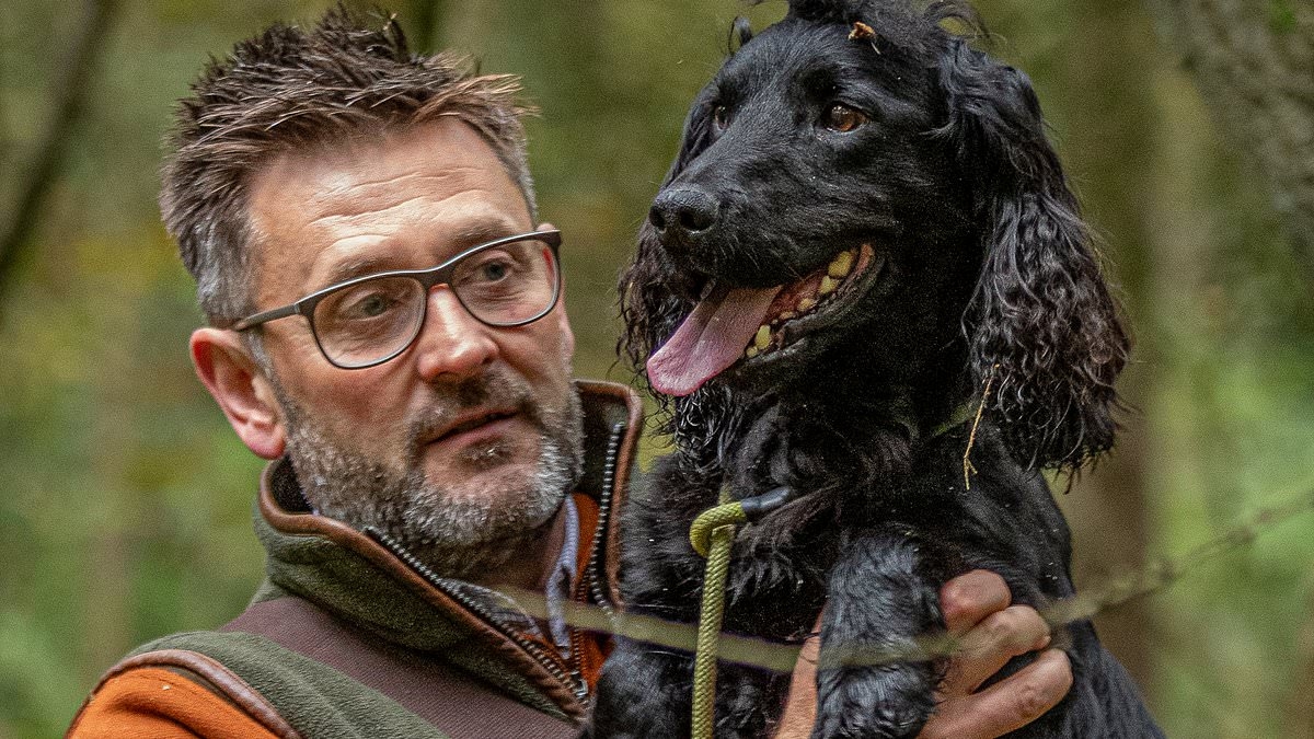 Crufts trainer who allowed three dogs to bake to death after leaving them in his Land Rover for six hours in 23C heat is spared jail