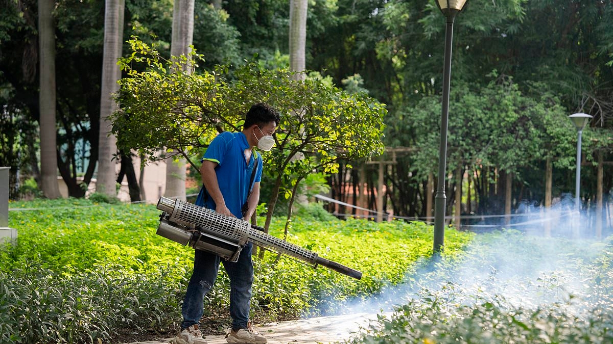Health alert in China: Chikungunya watch triggers quarantine protocols