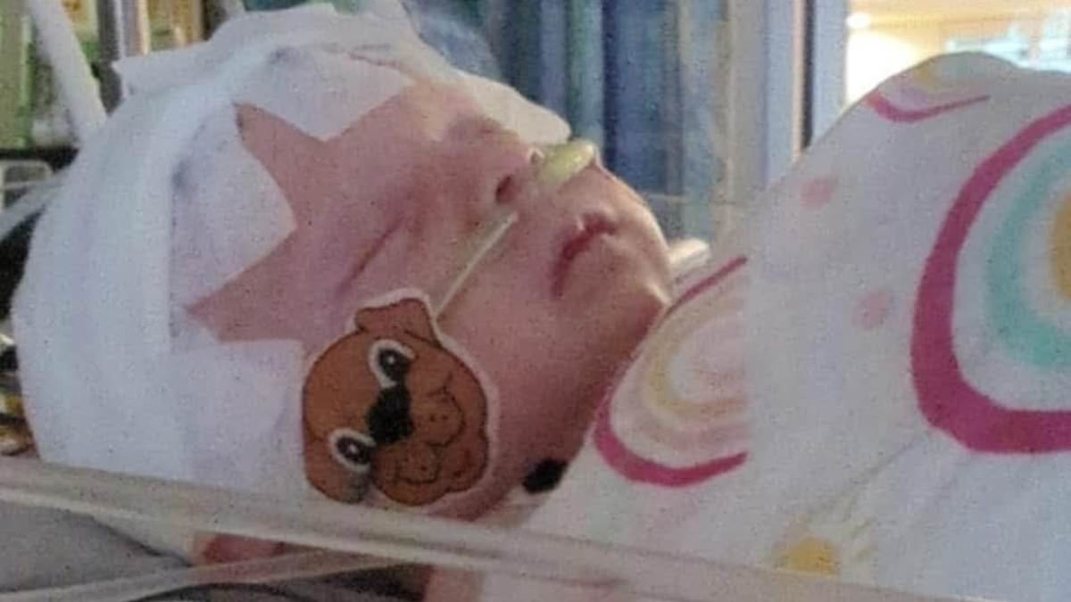 Newborn left brain damaged 'by virus' after walk near $1m Martha's Vineyard home...now locals fear it's spreading