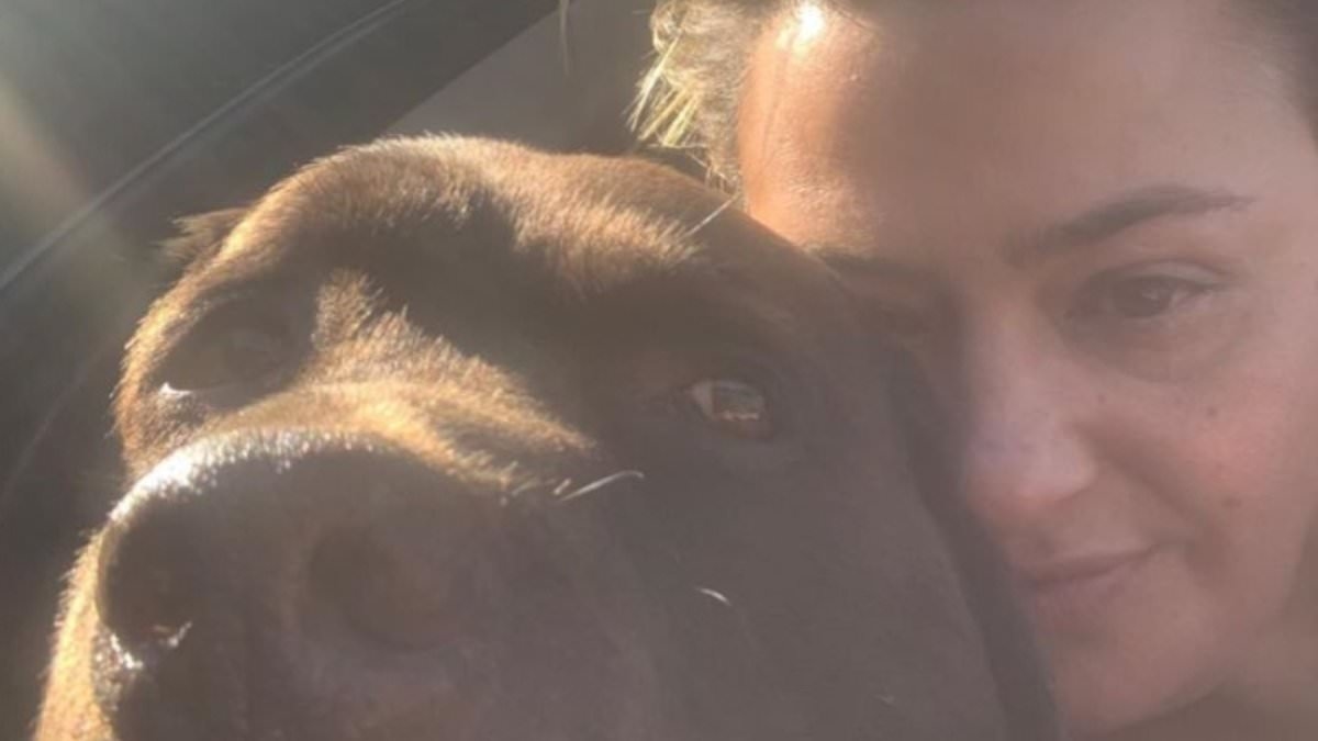 Lisa Armstrong appears to take a thinly-veiled dig at ex-husband Ant McPartlin over their dog Hurley