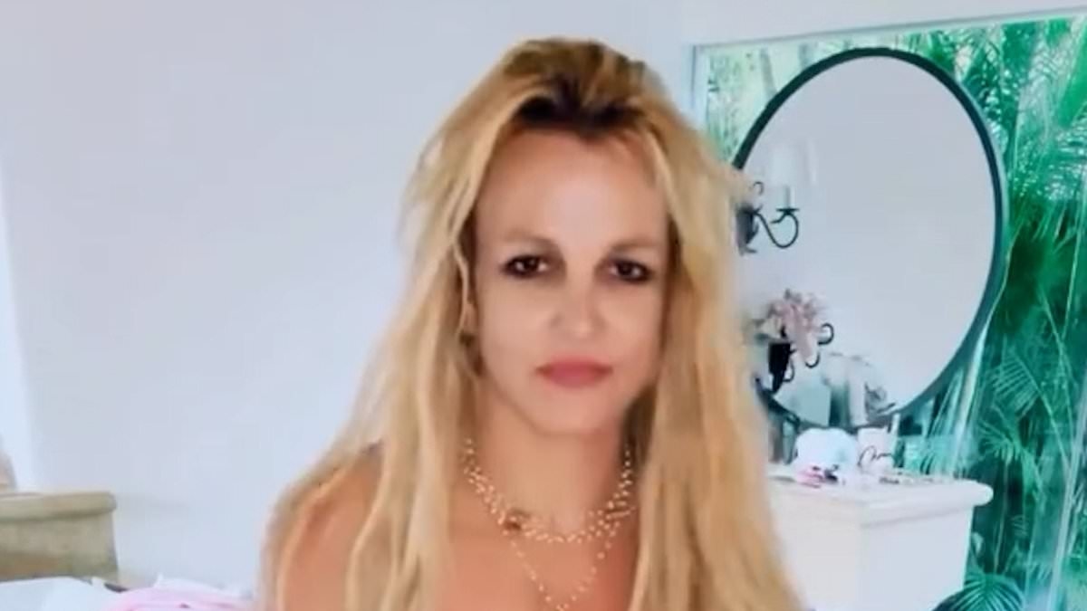 Britney Spears fans SLAM ex Kevin Federline as he plots latest 'cash grab' against the troubled pop star