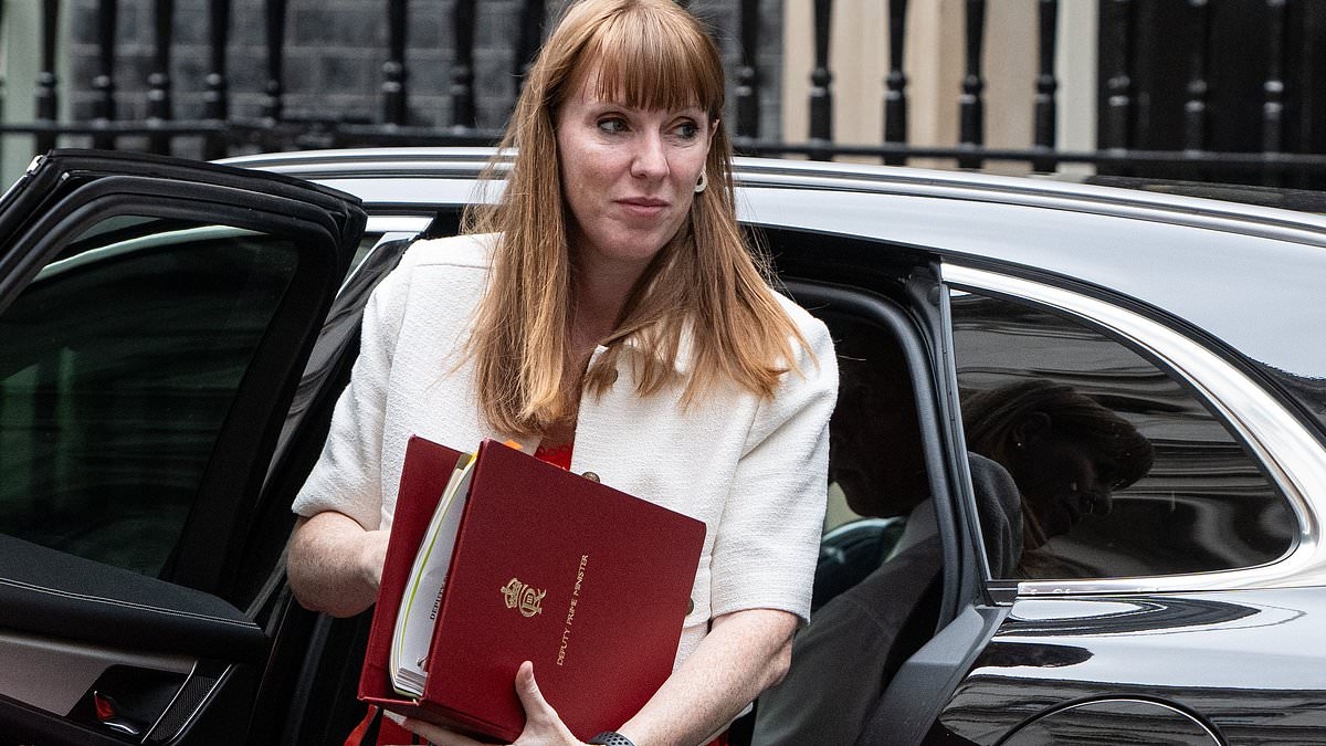 Millions of households will be hit with council tax hikes to pay for Angela Rayner's Government funding reforms