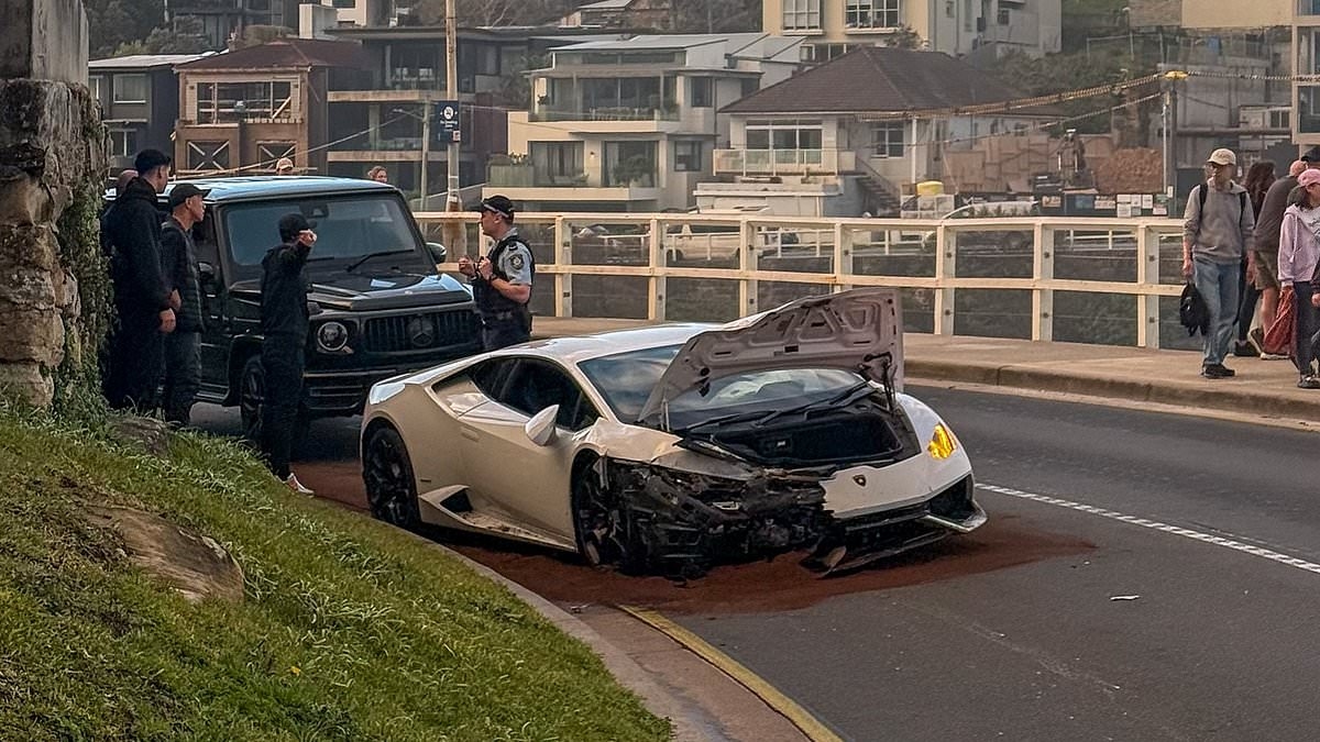 Lamborghini driver gets a taste of karma after brainless move on Sydney's iconic Bronte to Coogee walk