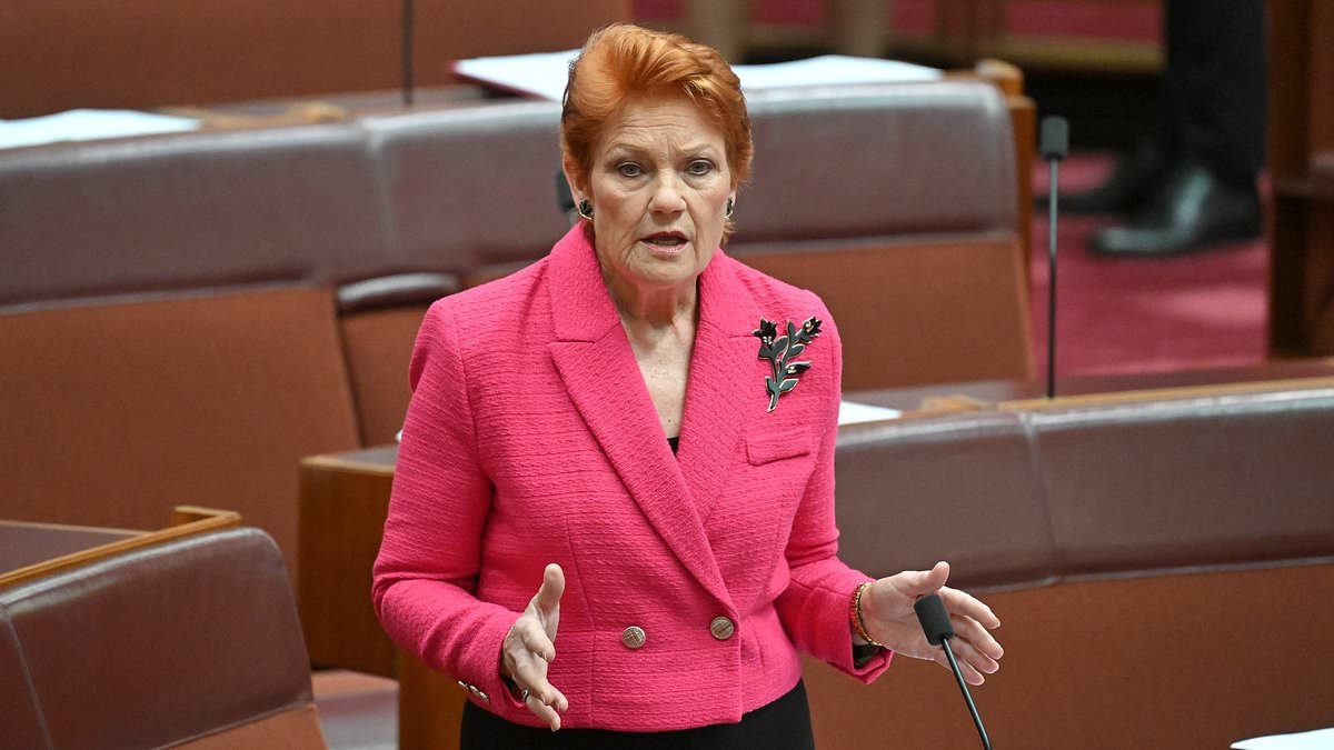 Pauline Hanson claims International students are taking Aussie jobs and dodging tax
