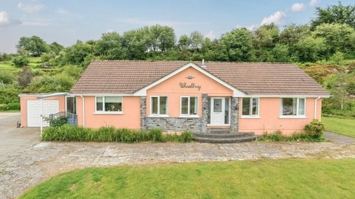 Modest four-bedroom bungalow goes on sale for £650k - with one very surprising feature in the garden