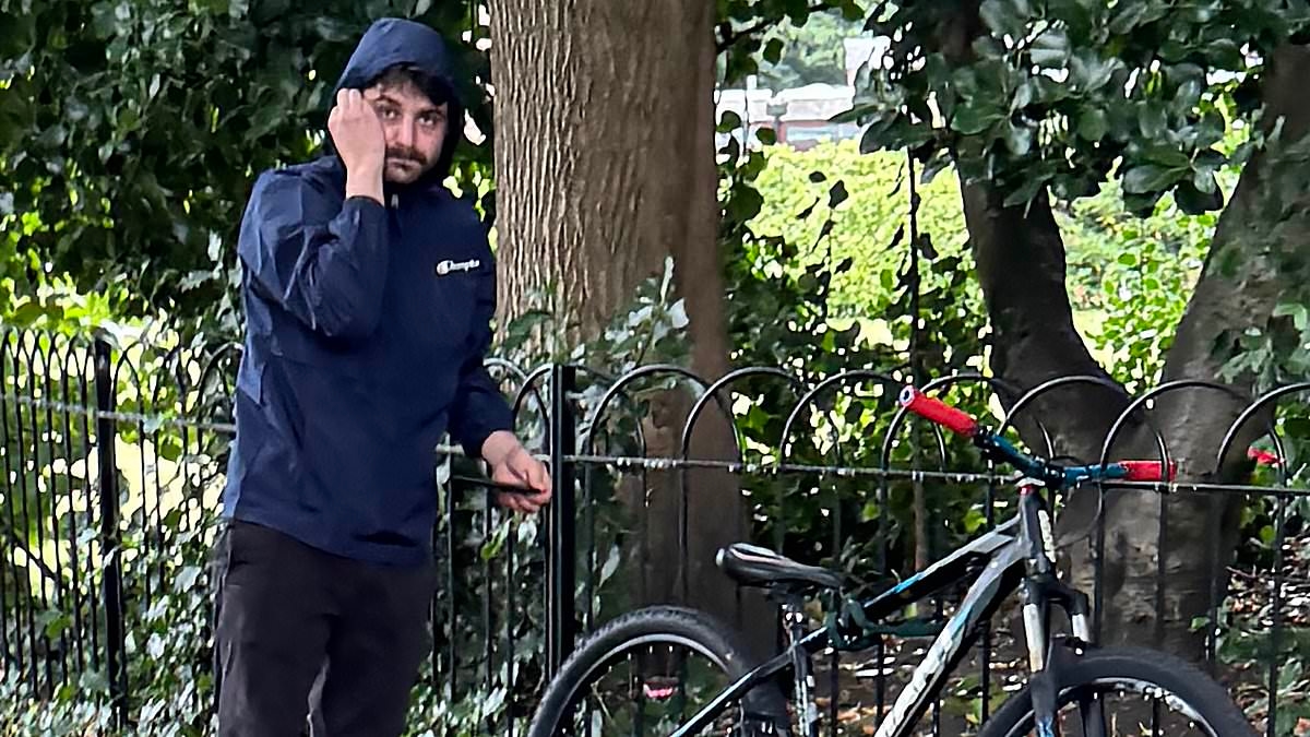 Romanian migrant put woman in hospital after hitting her with his bicycle while banned from driving