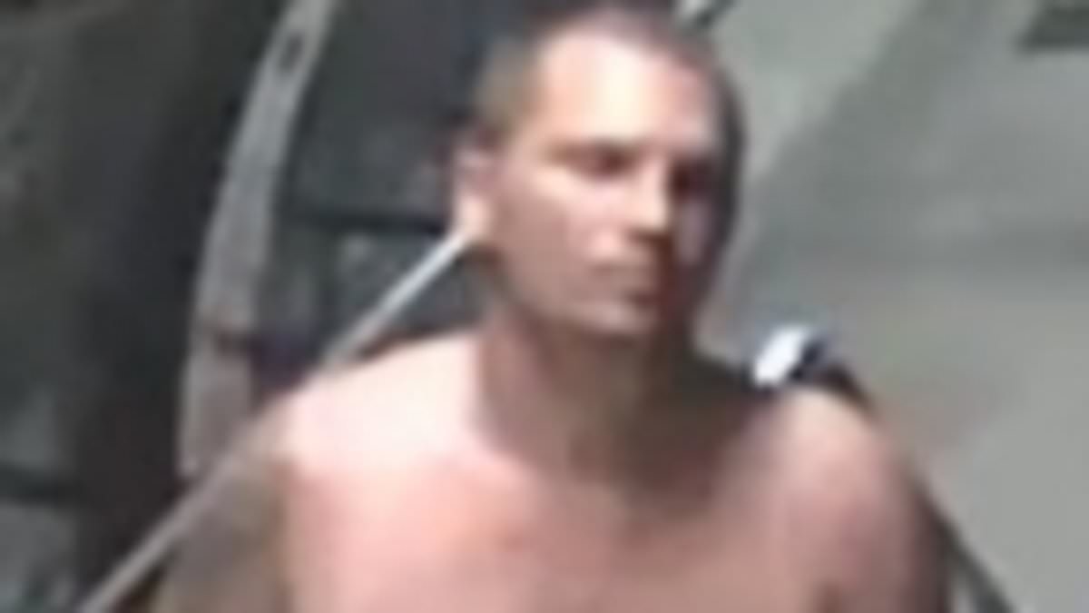 Police hunt for topless man after woman 'sexually assaulted on London Underground train'