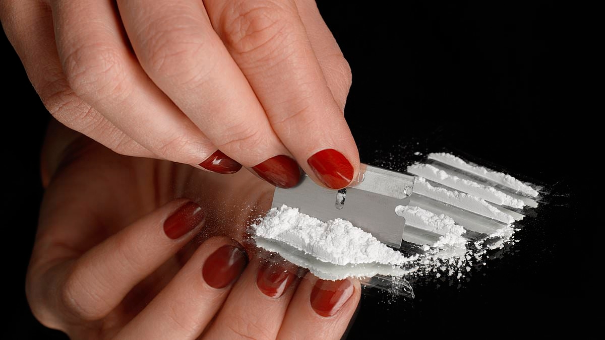 My middle-class friends all look terrible for their age... thanks to cocaine. They snort it constantly and see no shame - but the truth is all over their haggard faces: ANNIE JACKSON