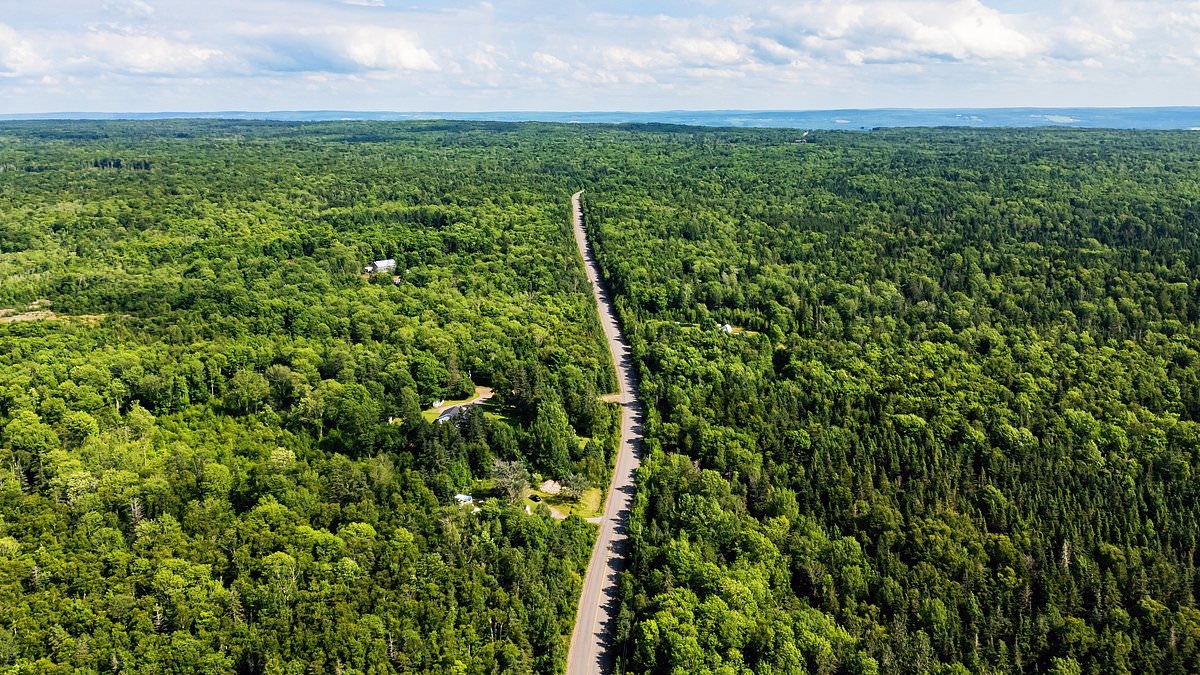 Nova Scotia bans people from walking in its stunning woods or they'll be fined up to $25,000