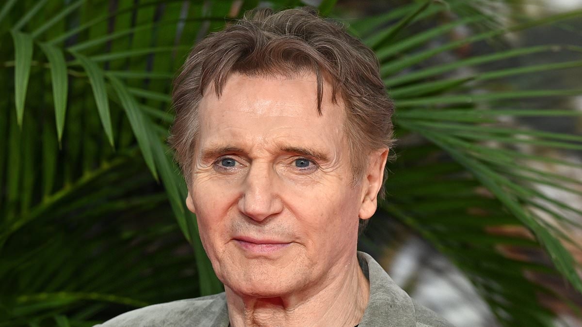 Liam Neeson fans savage reporter for asking him about 'cringe' topic during 'nonsense' interview