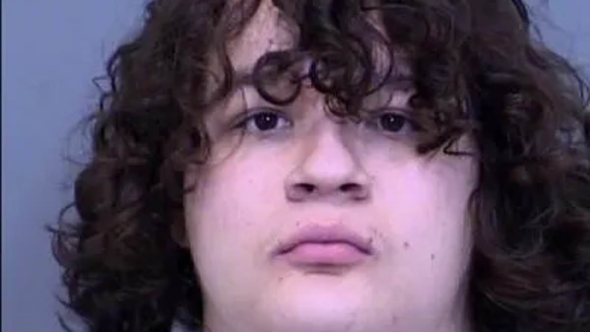 18-year-old arrested over latest WNBA sex toy incident after Sophie Cunningham became victim of bizarre trend