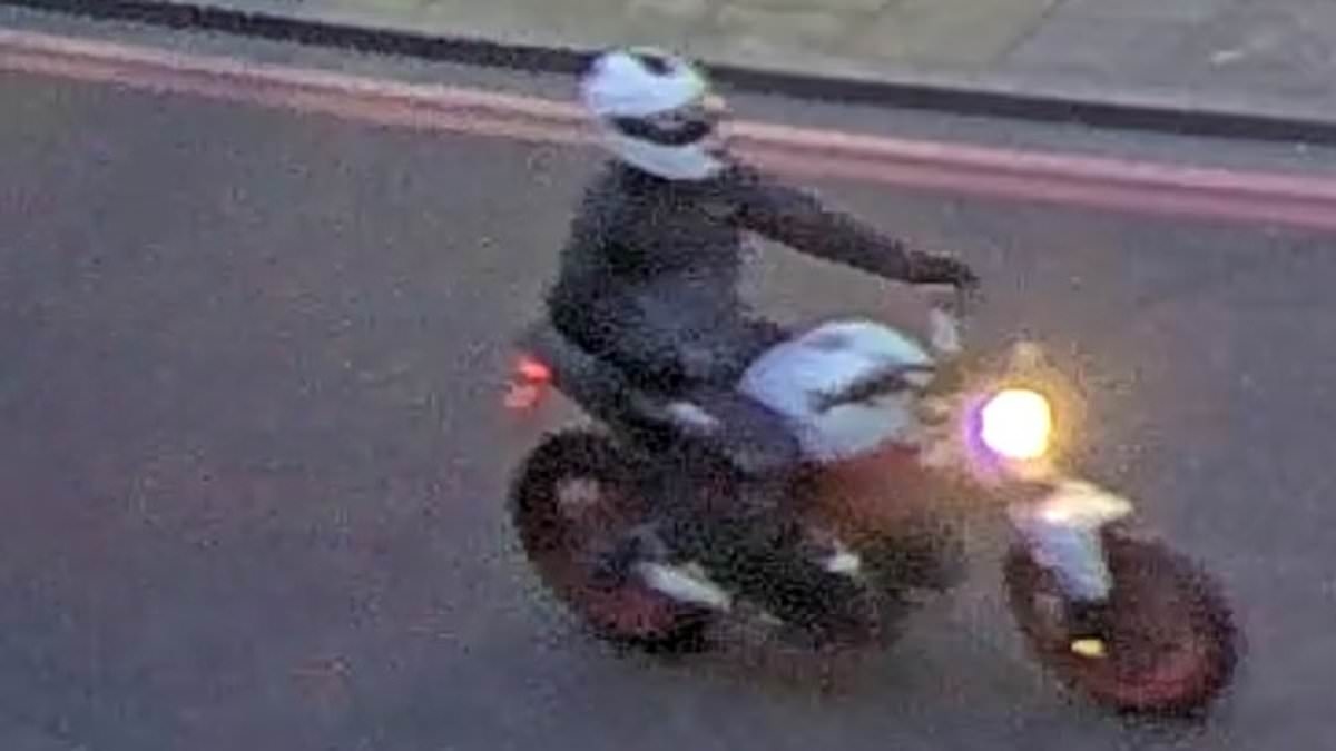 Robber admits picking up gunman moments after girl, nine, was shot in the head at Turkish restaurant in drive-by shooting