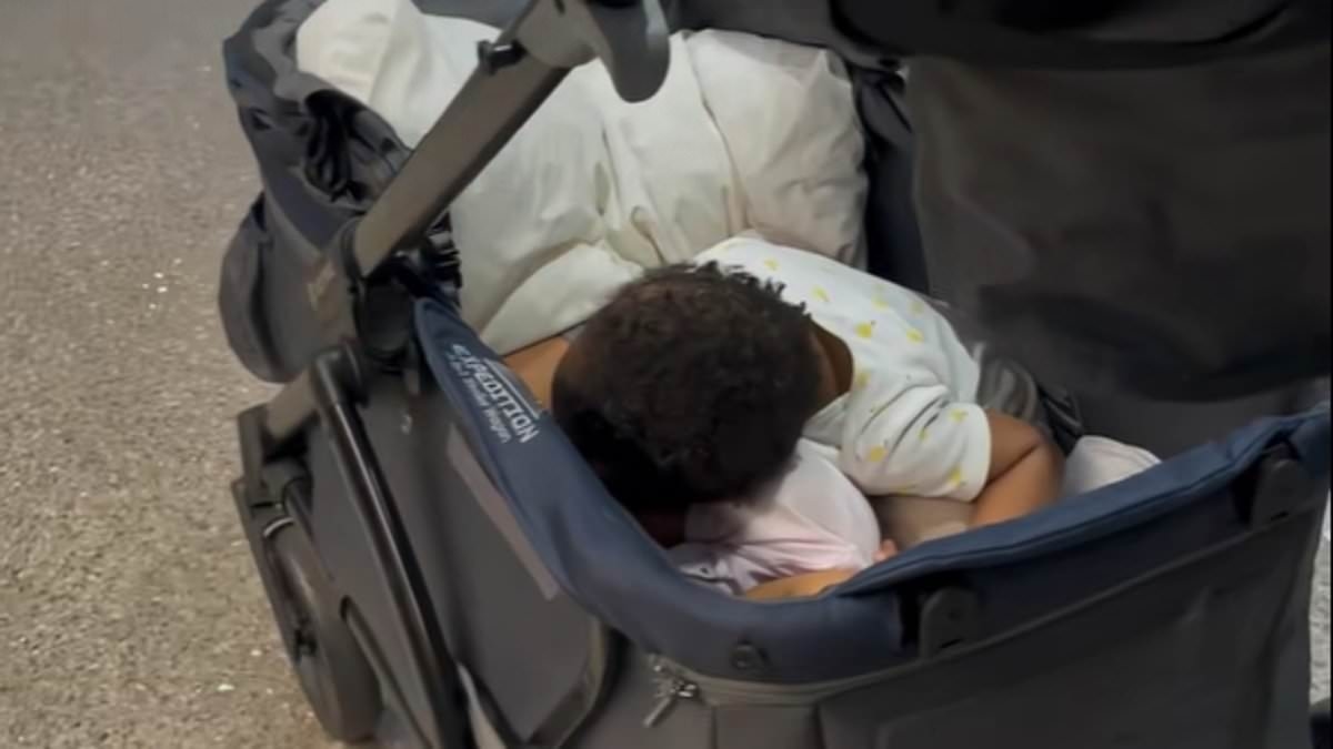 American Airlines 'banned black parents from taking disabled child's stroller past security but not white families'