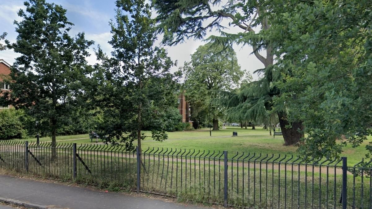 Man, 64, is arrested after 'making sexual comments to children at playpark'