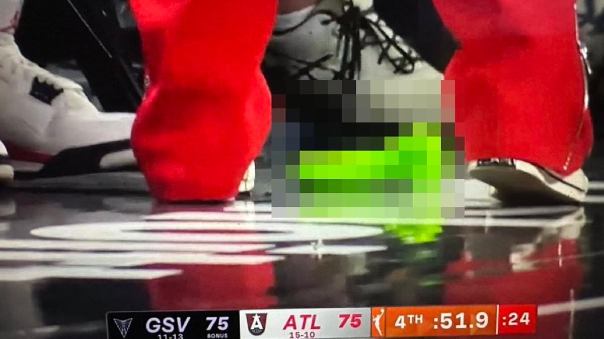 Cryptocurrency traders take responsibility for throwing sex toys at WNBA games to promote meme coin