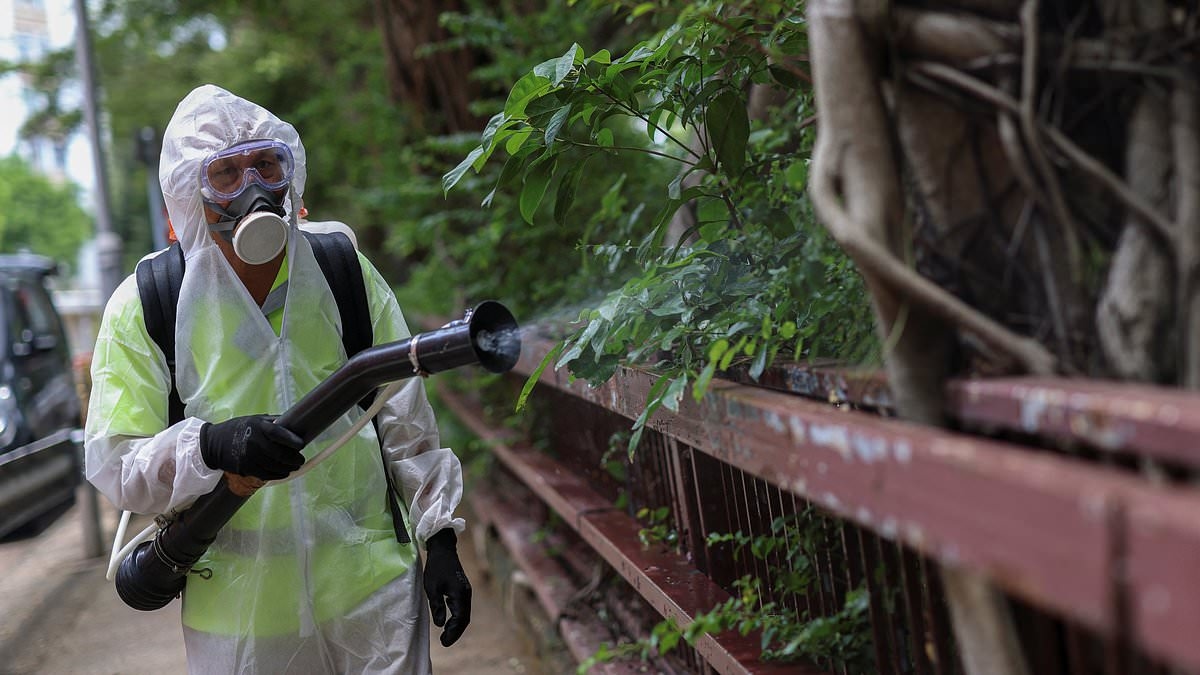 What Australians need to know about the virus on the rise in China