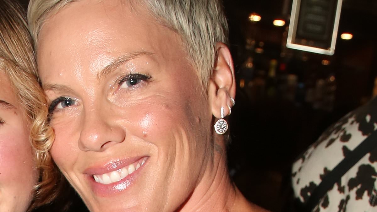 Pink's daughter Willow, 14, is her TWIN as singer poses for rare photo with her children