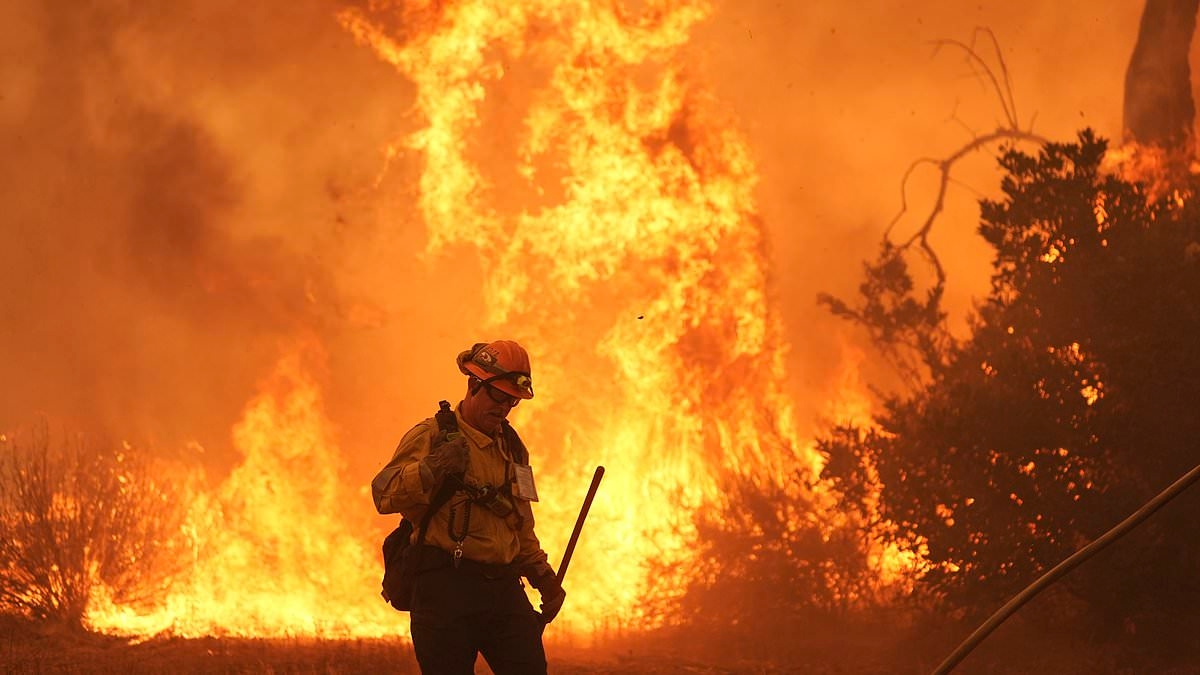 Wildfire spreads rapidly through canyon north of Los Angeles, forcing evacuations