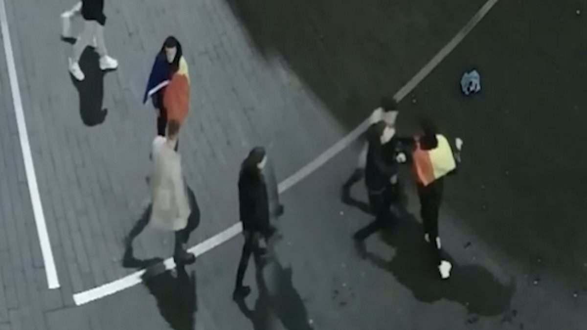 Moment Met Police officers brawl with group of Romanians after drunken Christmas boat party