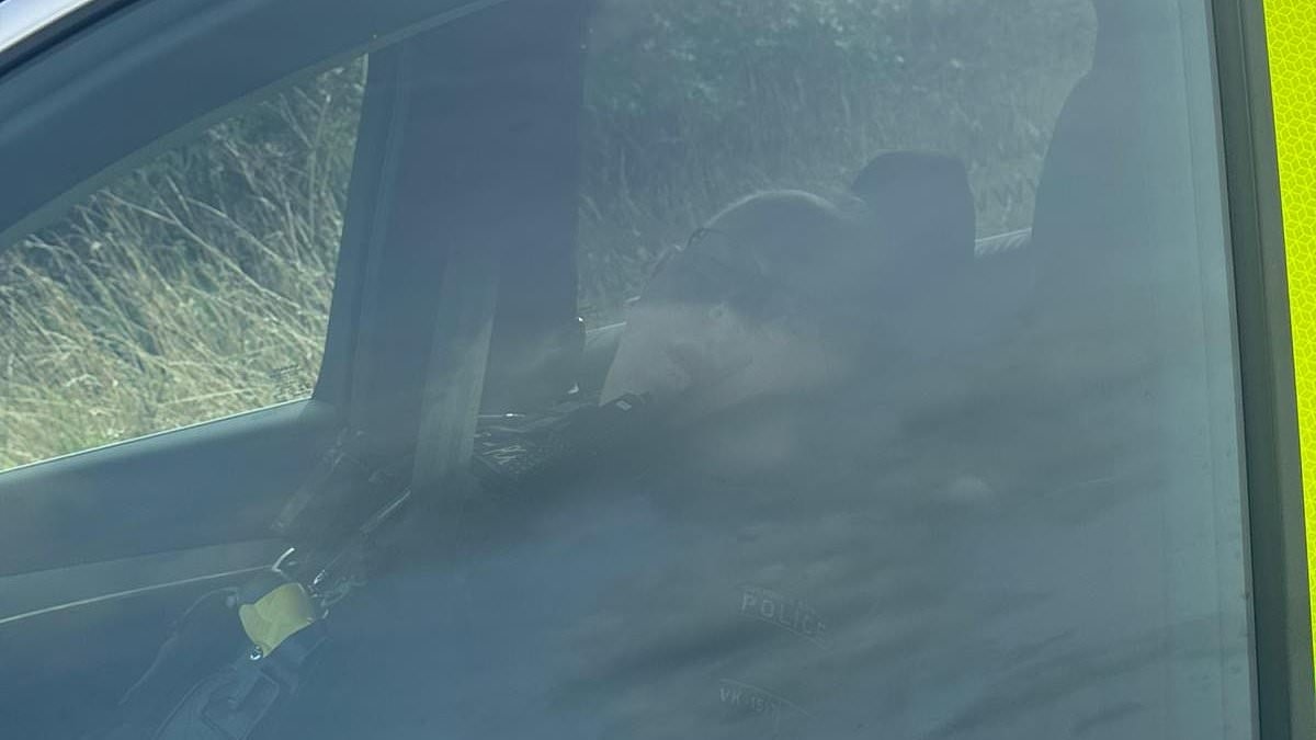 Policeman 'caught napping on the job' in marked car hidden behind trees down quiet country track