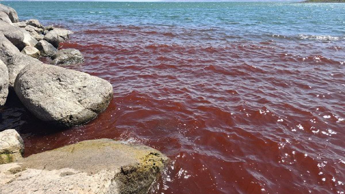 Sea of Galilee turns blood-red