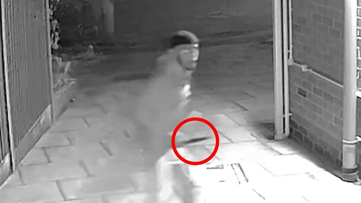 Chilling moment knife thug brothers chase victim into alley before stabbing him to death in car crash feud - as they are jailed for murder