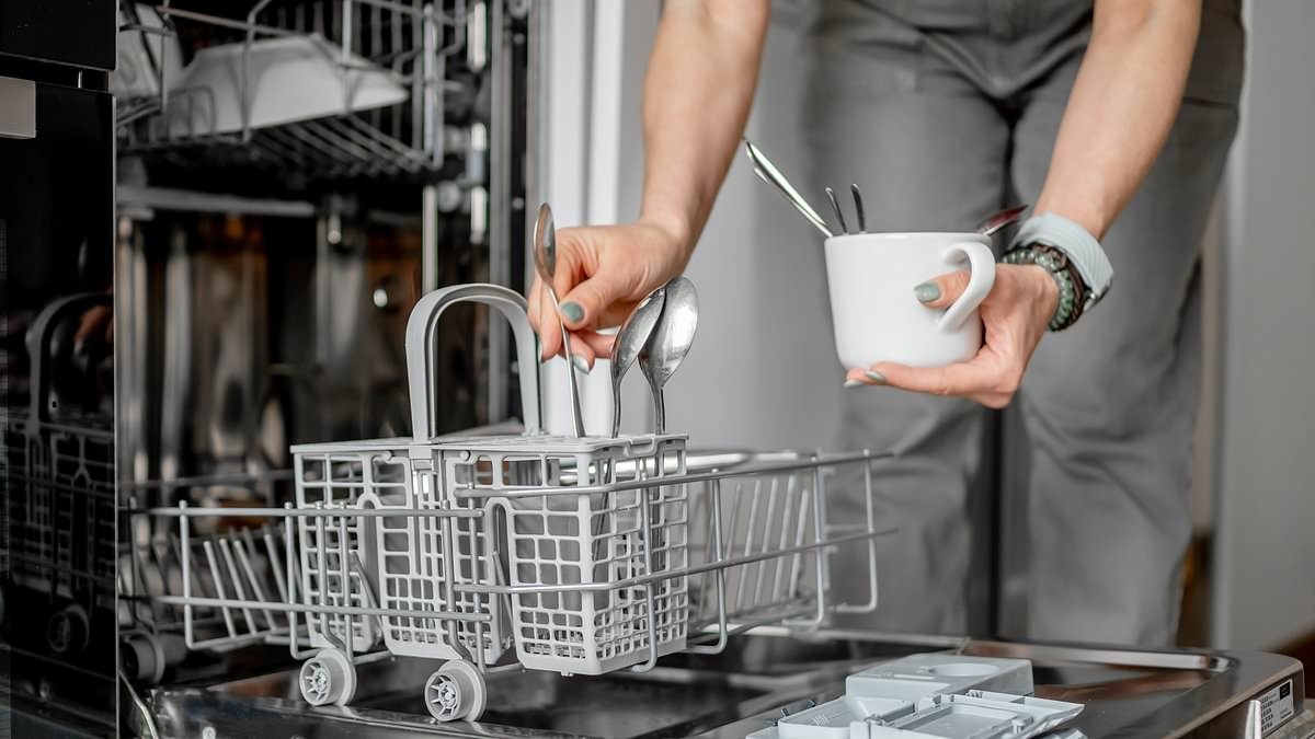 You're using your dishwasher WRONG! Experts reveal the surprising items you should never put in there