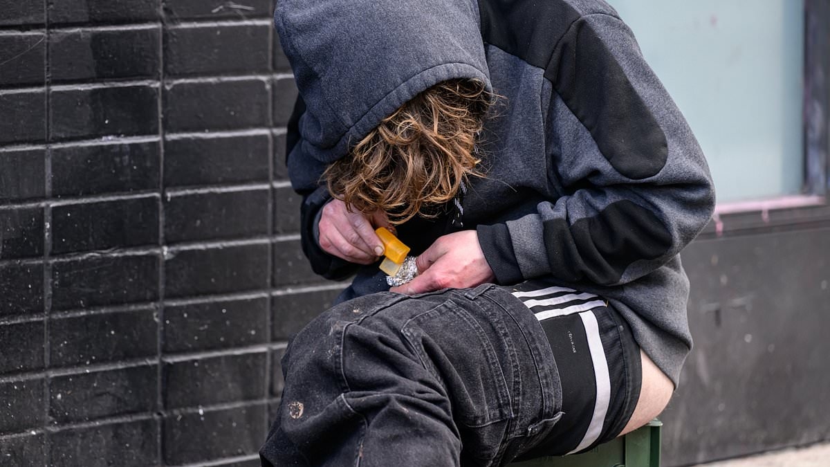 America thinks it's winning war on drugs as deaths plummet. But there's an even darker threat on the way: 'They're always one step ahead'