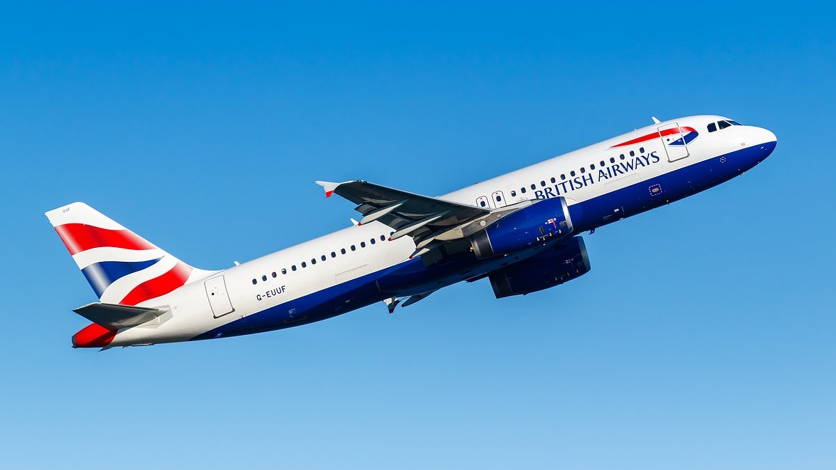 ANNE ASHWORTH checks out the shares of soar-away airline companies