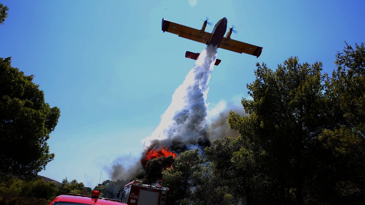 Deadly Greek wildfire is battled by firefighters as strong winds raise spectre it could spread and could widespread devastation