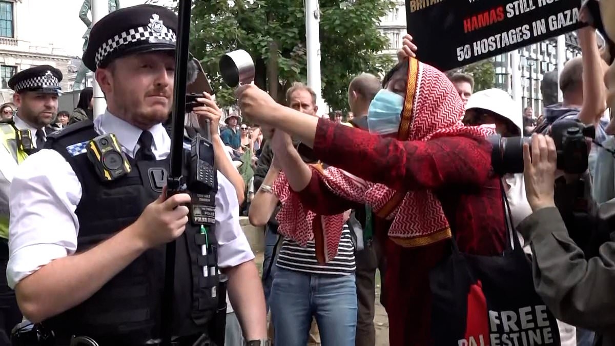 Moment pro-Palestine protester loudly bangs metal pot at Met Police officer - forcing him to shield his ears