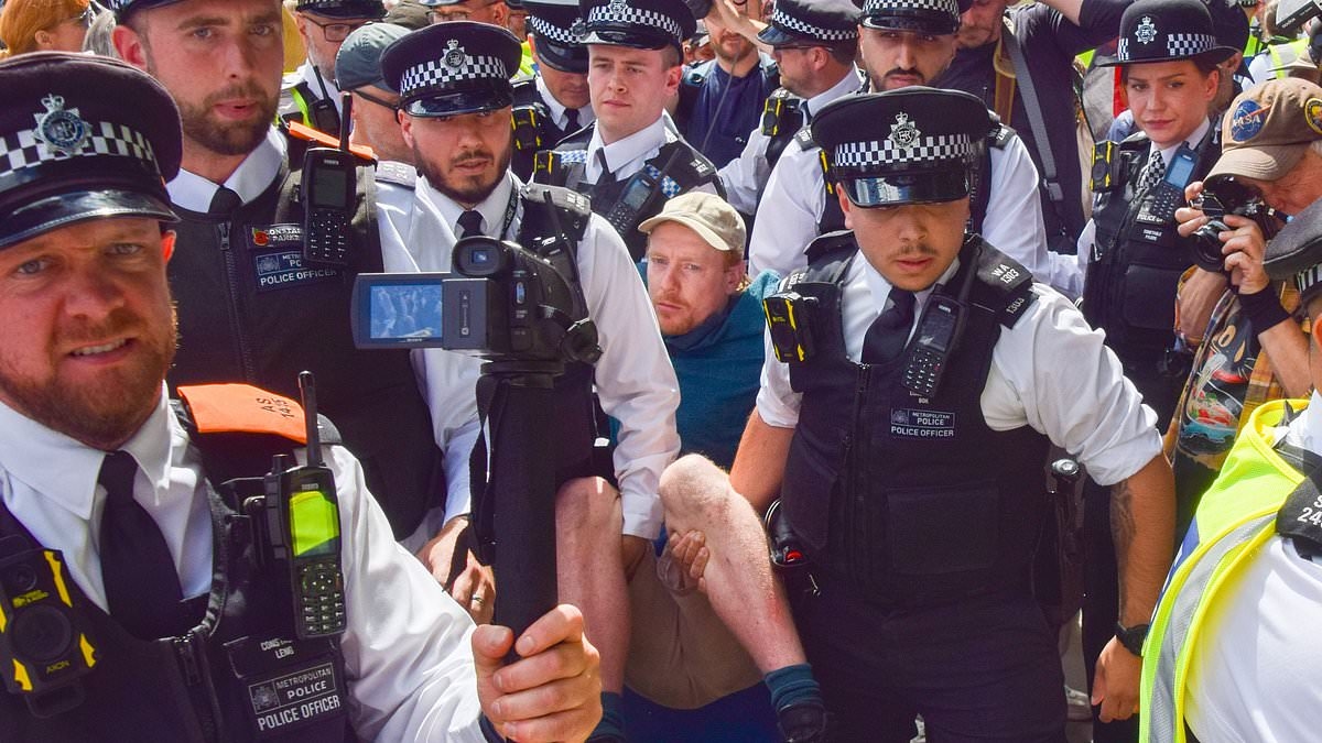 Number of arrests at Palestine Action protest rises to 532 with majority for displaying placards in support of Hamas