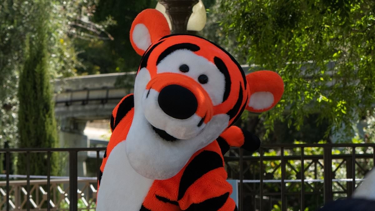 Disney slammed over alleged character rule after performer faints at theme park and doesn't take off costume