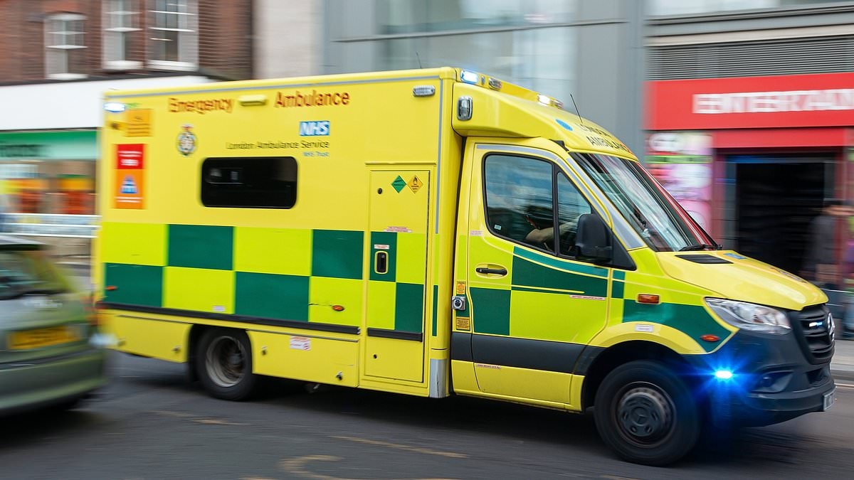 Ambulance services hit with bills totalling £27.5million to transport increasing numbers of obese patients