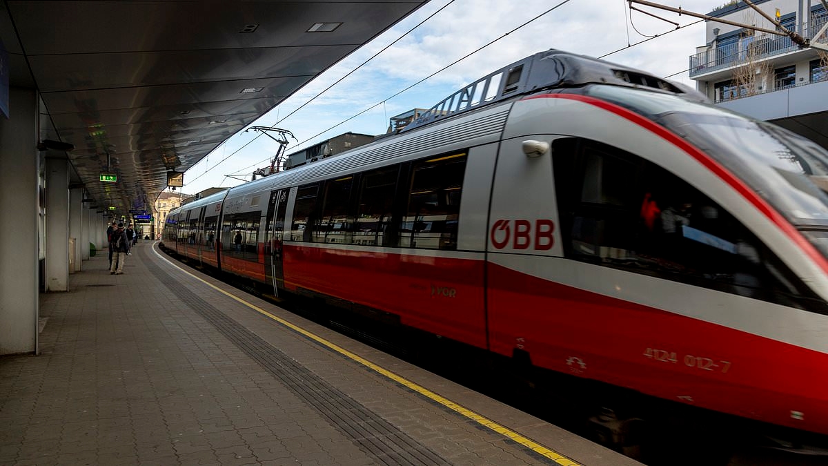 Man, 24, SURVIVES after clinging onto high-speed train 'when it started leaving as he popped out for a cigarette'