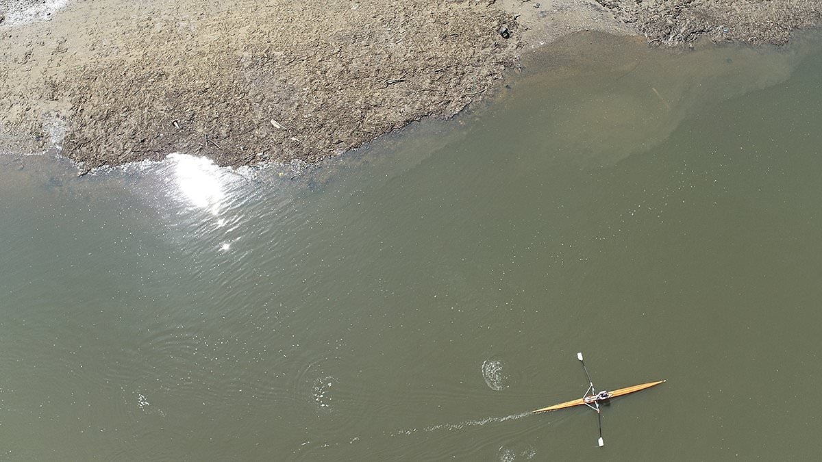 Wave goodbye to 'Wet Wipe Island': First mass removal from the River Thames is launched to clear London's 180-ton problem