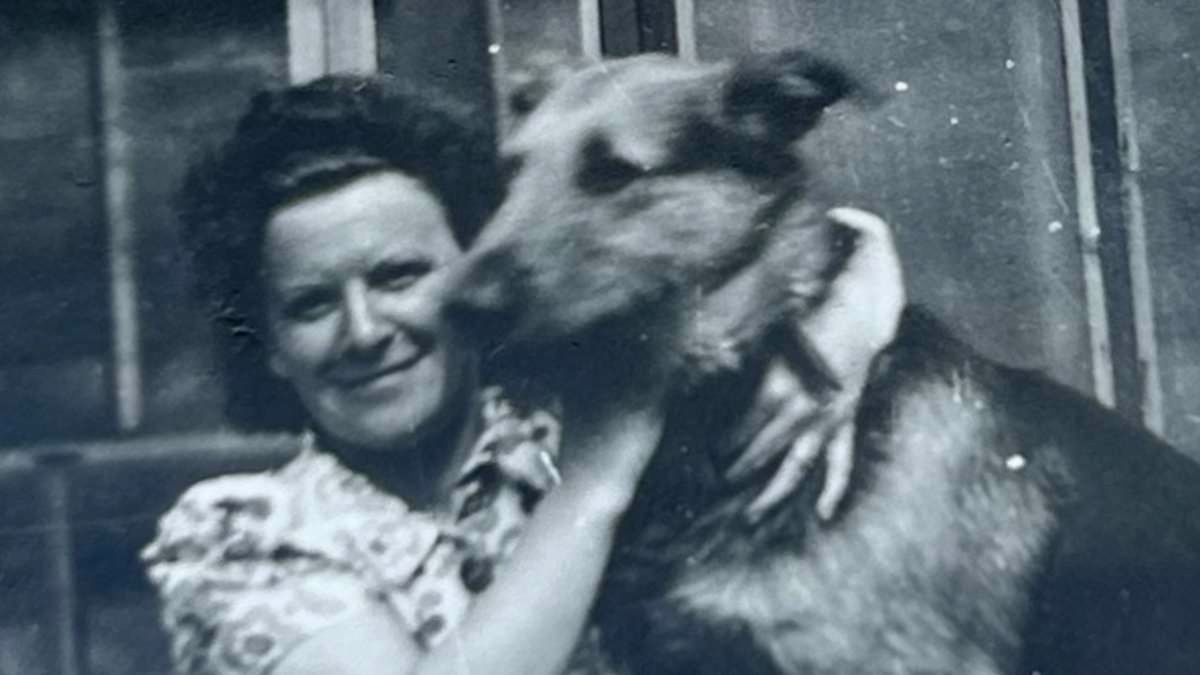 The puppy rescued from the Nazis on D-Day: Heartwarming story of German Shepherd-cross Spandau after he was found hiding under bodies of enemy machine gunners by British war hero