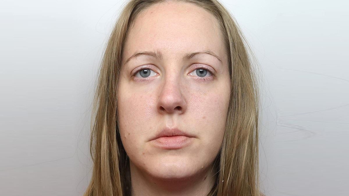 Lucy Letby's new legal team are preparing 'seriously flawed' reports which could harm her freedom bid, warns defence expert who sat through neonatal nurse's trial