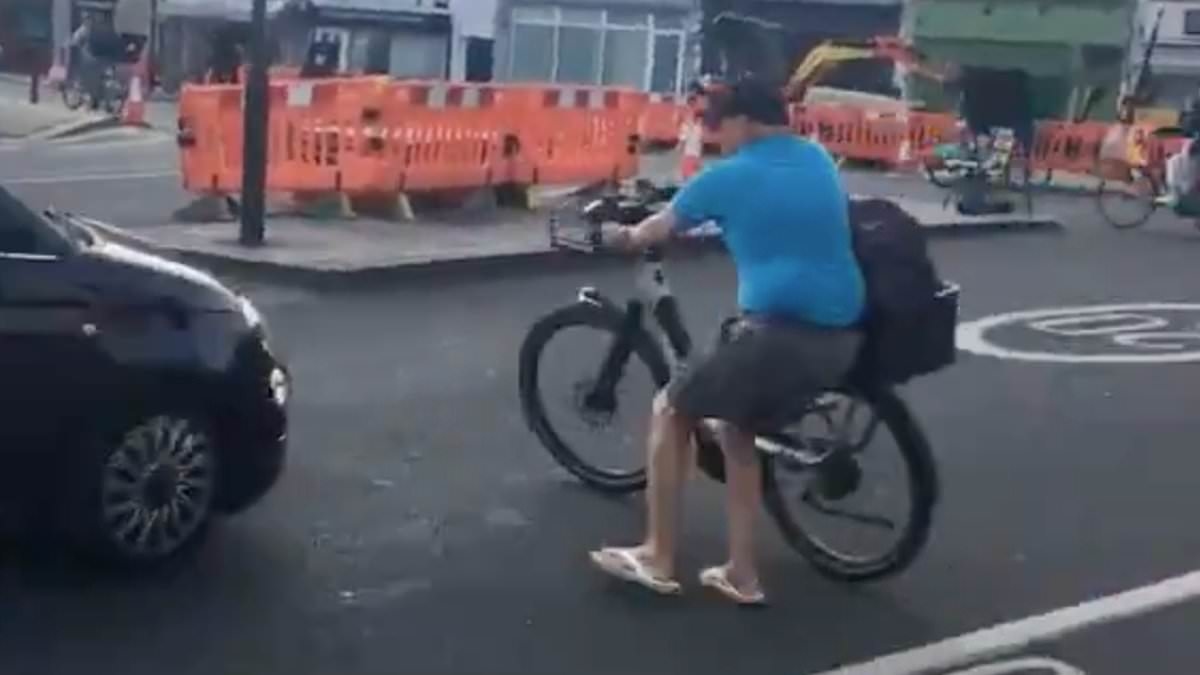 Moment vigilante Cycling Mikey pushes his bicycle into a car after row over whether motorist could drive there