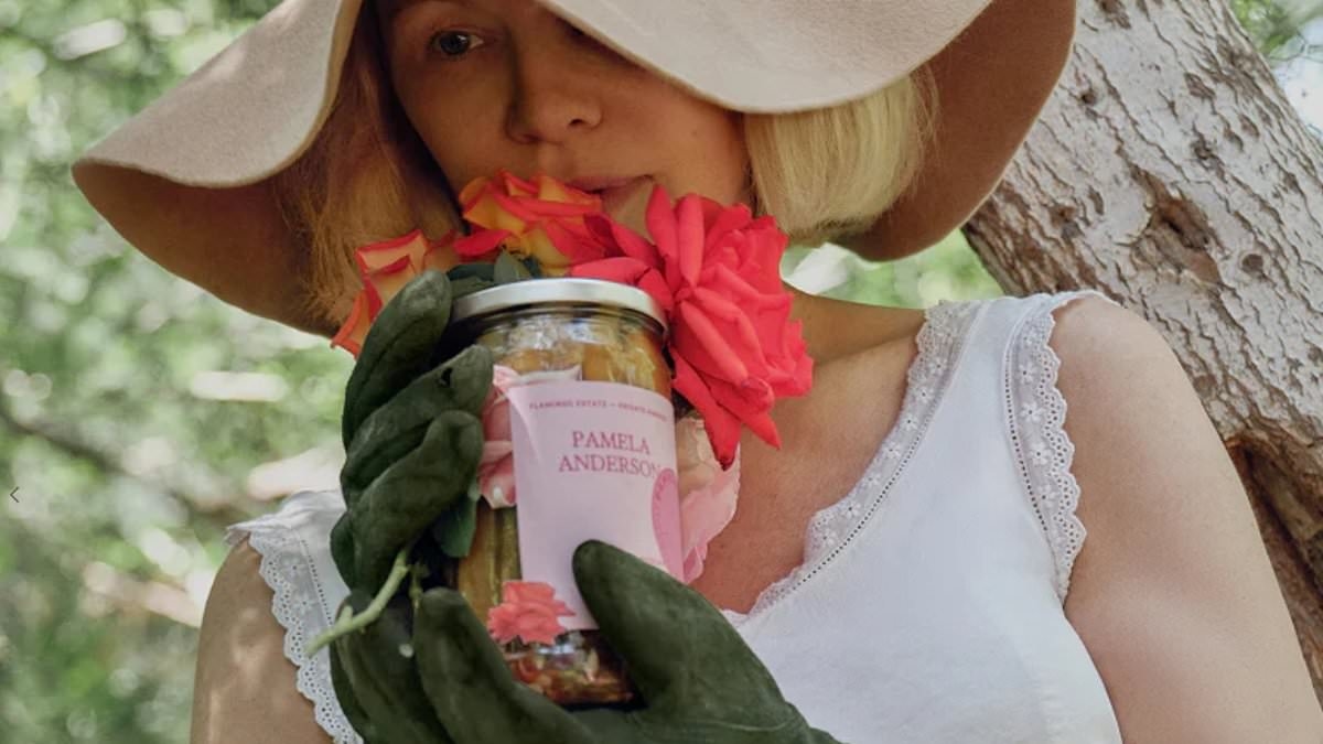 Where to buy Pamela Anderson's pickles - as fans go wild for Baywatch star's new product after she addressed claims Meghan Markle 'ripped off' her cooking show