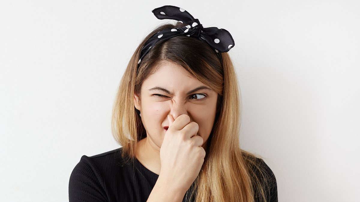 I can smell death and pregnancy... I can't stand to be around my elderly dad because the stench is so strong